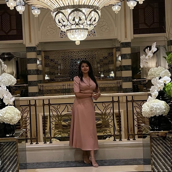 Shein V Neck puff sleeve A line dress - Picture 4 of 8